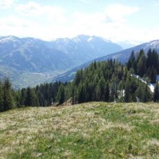 20120527_120142.jpg